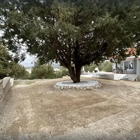 Aphrodite Rhodes * Pastida