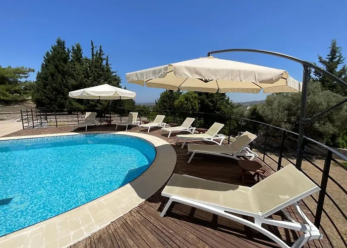 Aphrodite Rhodes 파스티다